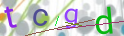 Click to refresh page